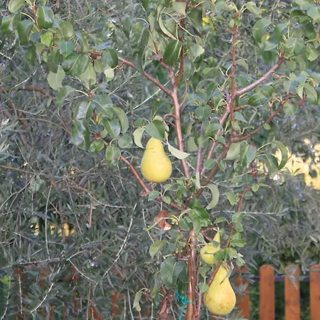 Daire With A Parking Space - 7094