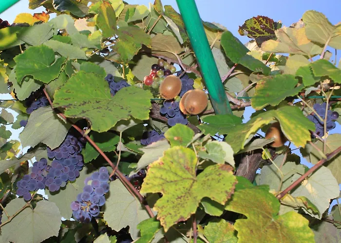 With A Parking Space - 7094 * Umag