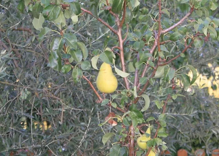 Appartement With A Parking Space - 7094