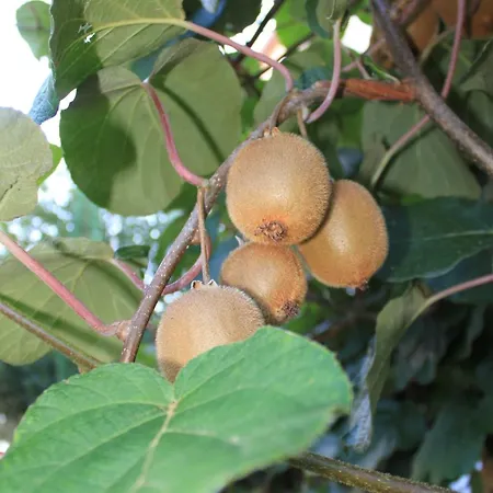 With A Parking Space - 7094